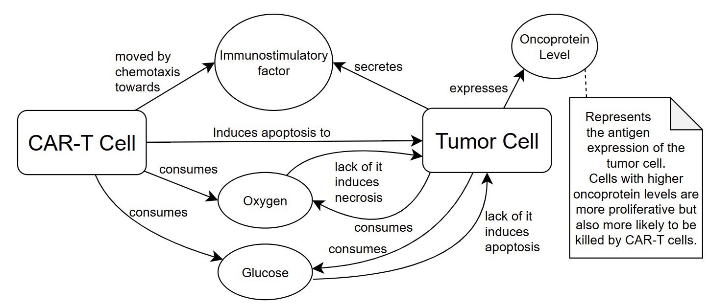 New model diagram