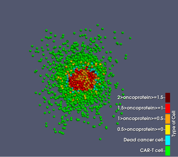 Cell Shield Formation